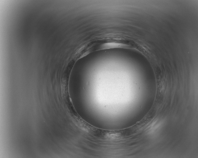 X0000060550283200511101545