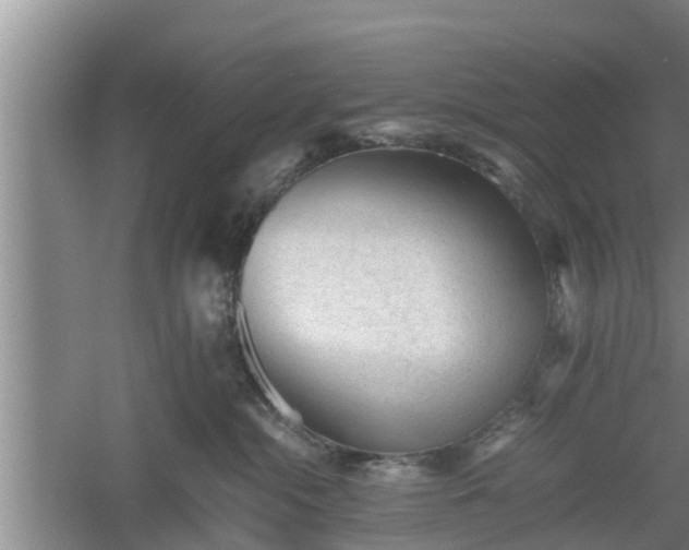 X0000060550284200511101545