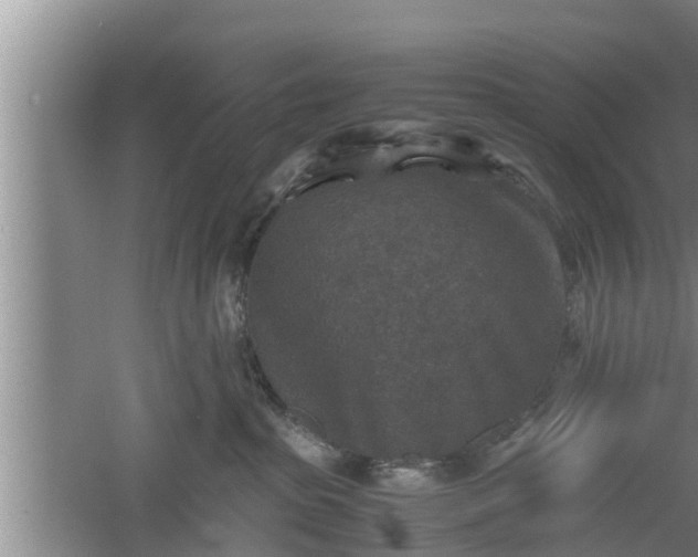 X0000060550285200511101545