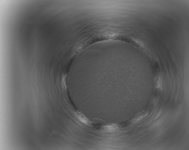 X0000060550286200511101545