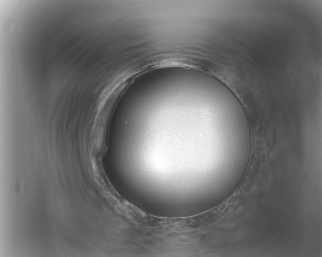 X0000060550289200511101544