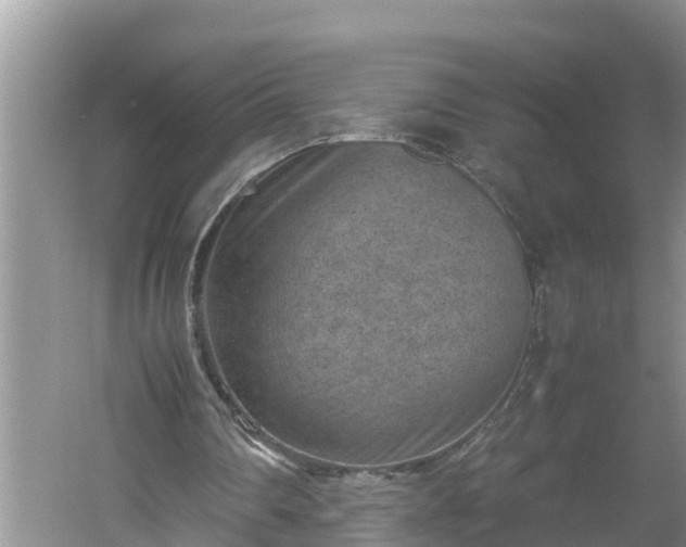 X0000060550290200511101544