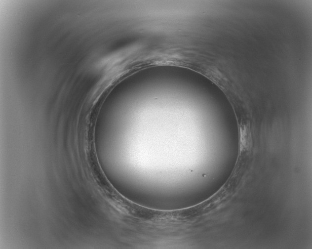 X0000060550291200511101544