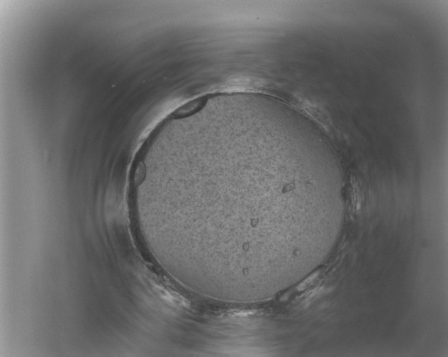 X0000060550292200511101544