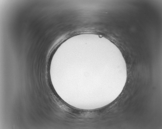 X0000060550293200511101544