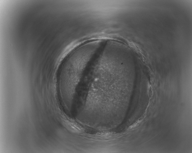 X0000060550295200511101544