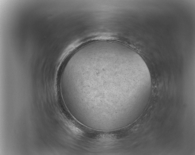 X0000060550296200511101544