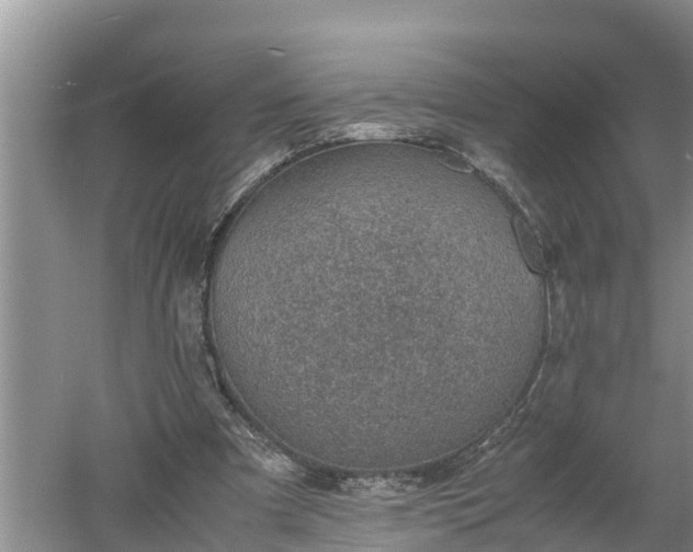 X0000060550297200511101544