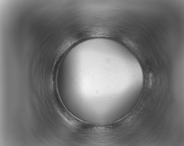 X0000060550298200511101544