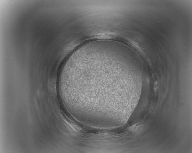 X0000060550299200511101544