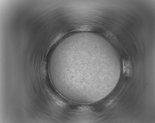 X0000060550300200511101544