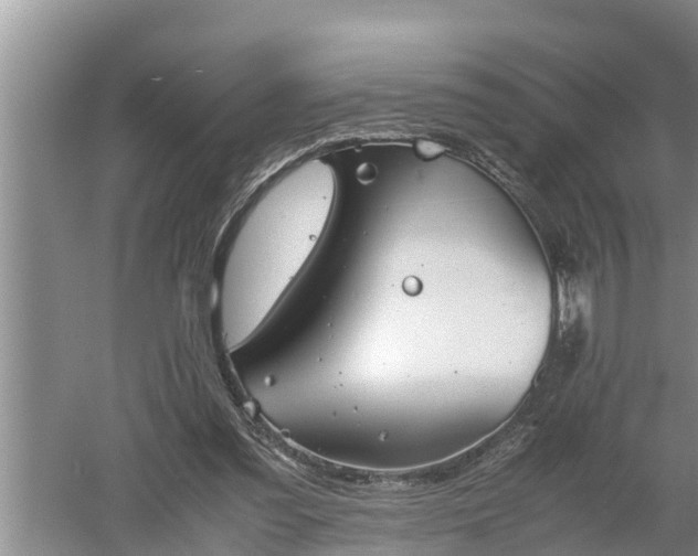 X0000060550301200511101544