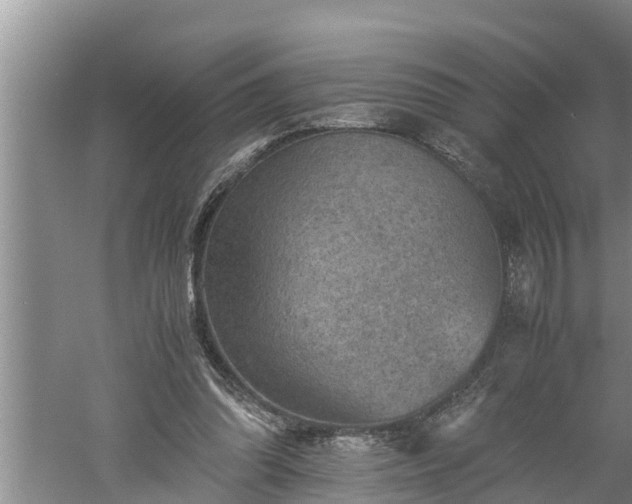 X0000060550302200511101544