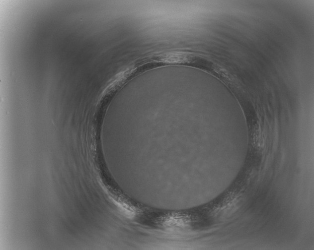 X0000060550303200511101544