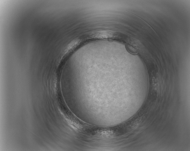 X0000060550304200511101544