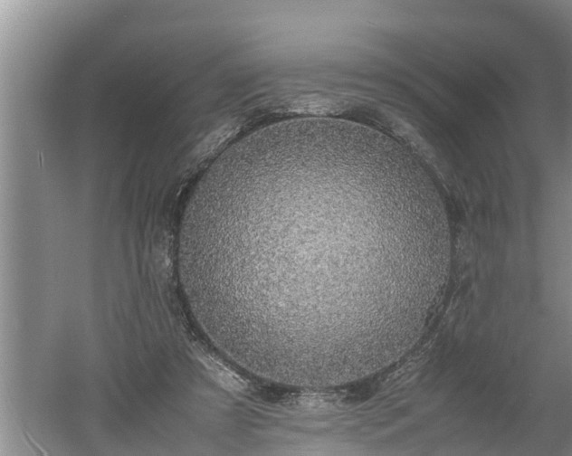 X0000060550305200511101544