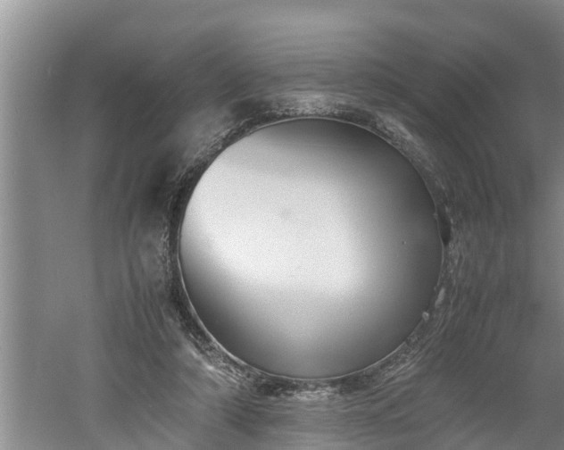 X0000060550306200511101544