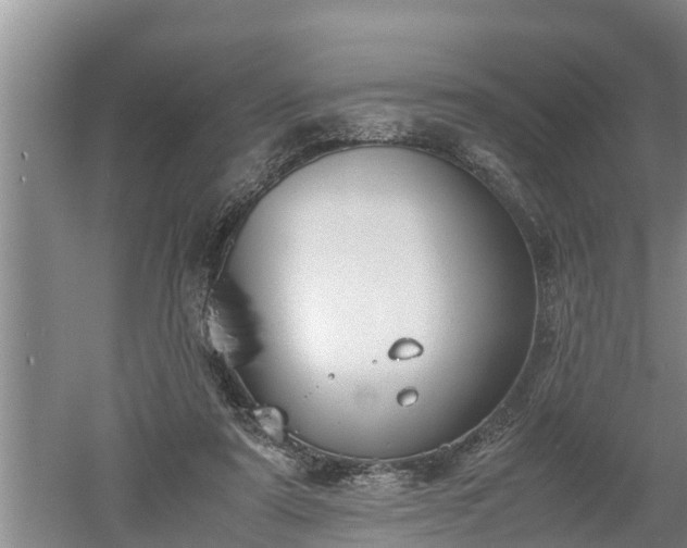 X0000060550307200511101544