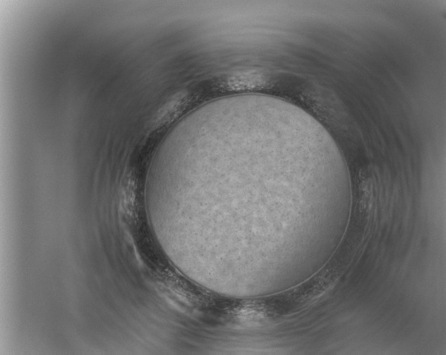 X0000060550308200511101544