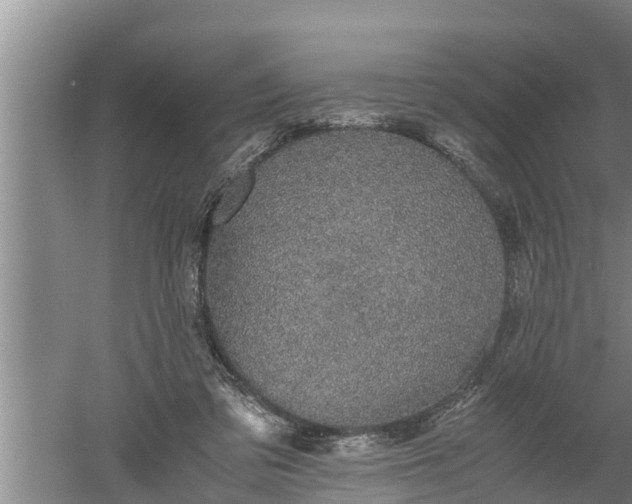 X0000060550309200511101544