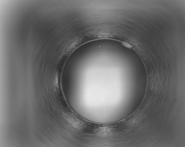 X0000060550310200511101544