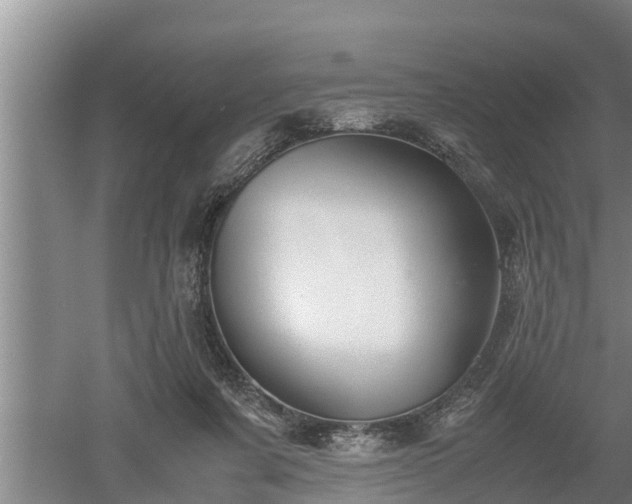 X0000060550311200511101544