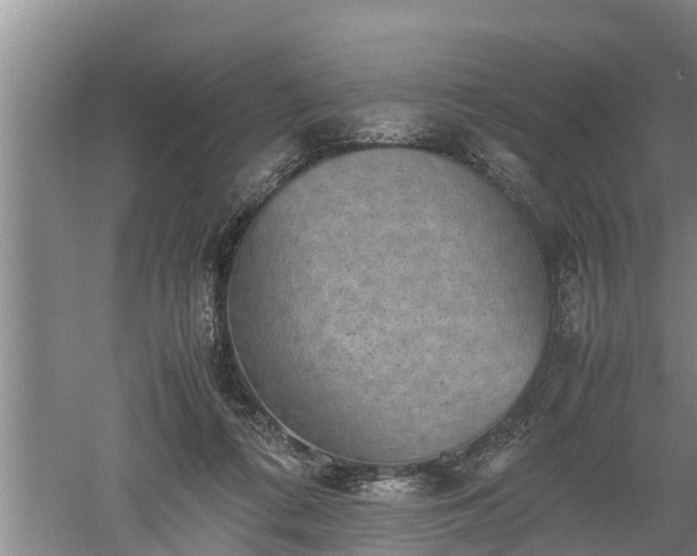 X0000060550312200511101544