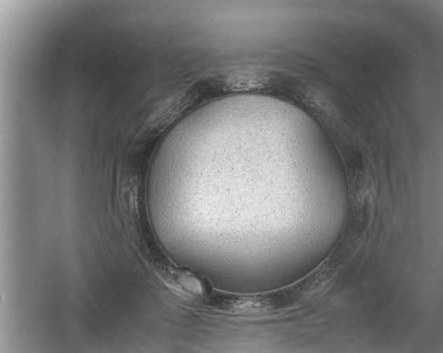 X0000060550315200511101544