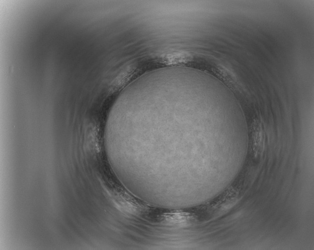 X0000060550316200511101544