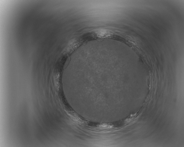 X0000060550319200511101544