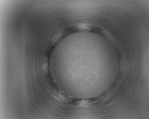 X0000060550320200511101544