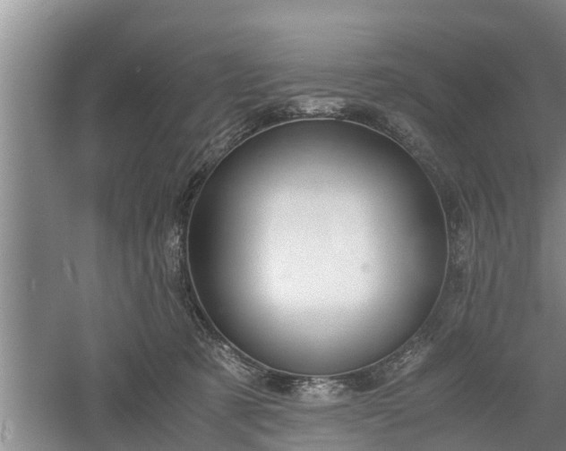 X0000060550321200511101544