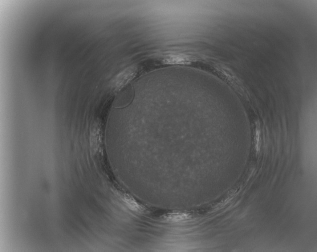 X0000060550322200511101544