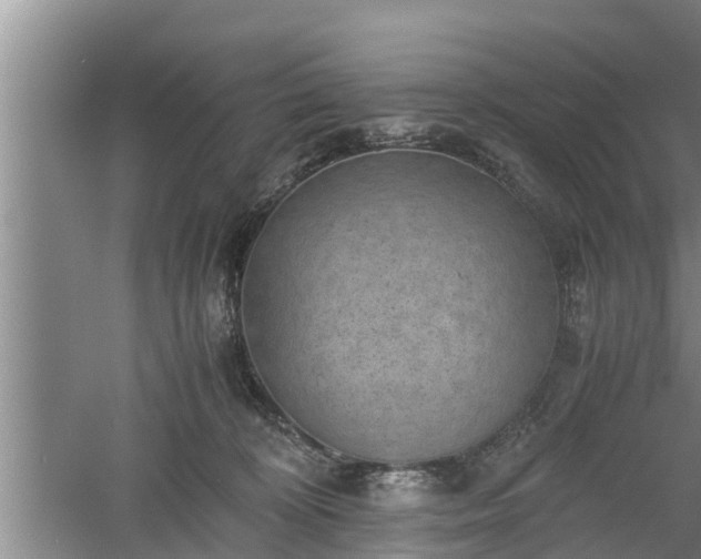 X0000060550324200511101544