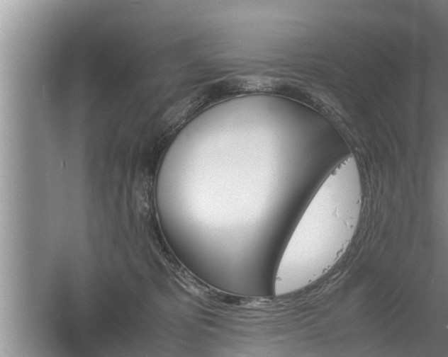 X0000060550325200511101544