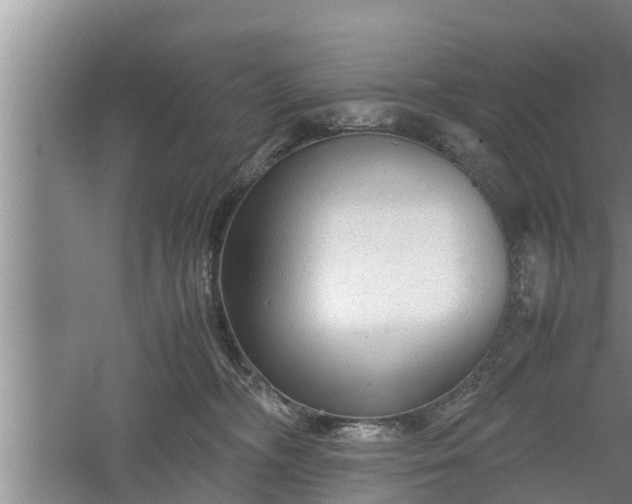 X0000060550326200511101544