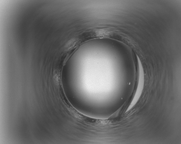 X0000060550329200511101544