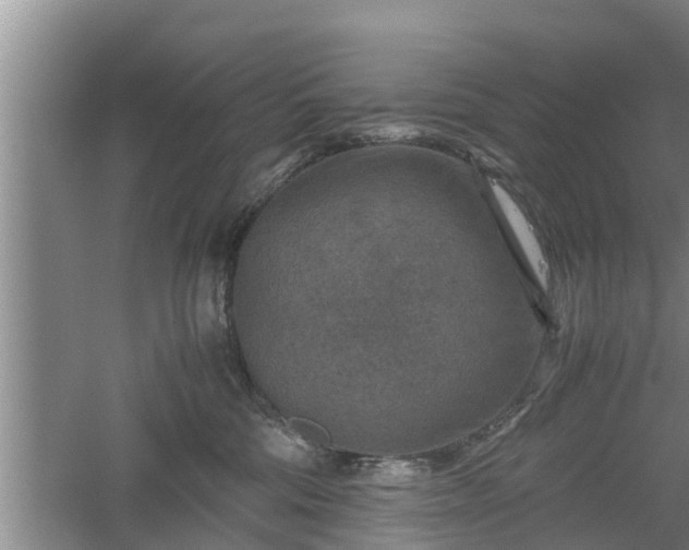 X0000060550330200511101544