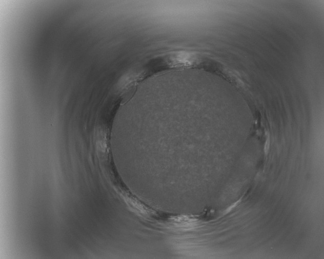 X0000060550331200511101544