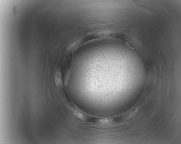 X0000060550335200511101544