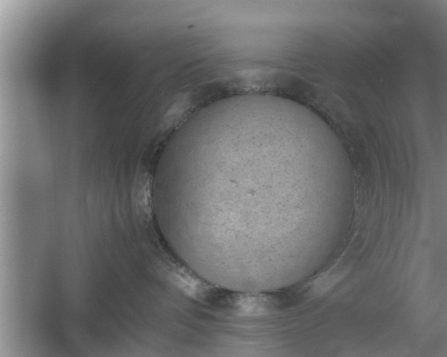 X0000060550336200511101544