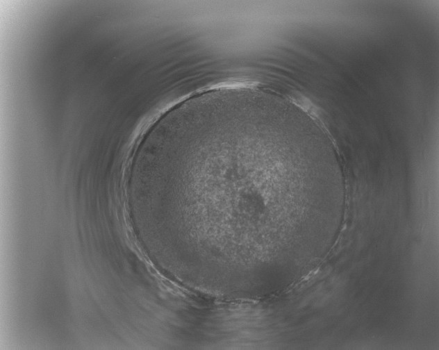 X0000060550337200511101543