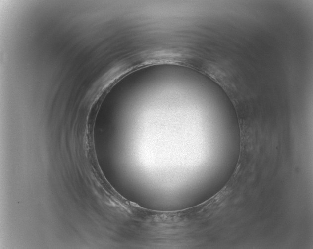 X0000060550338200511101543