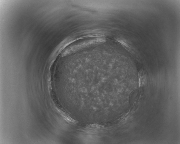 X0000060550339200511101543