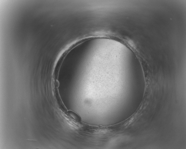 X0000060550342200511101543