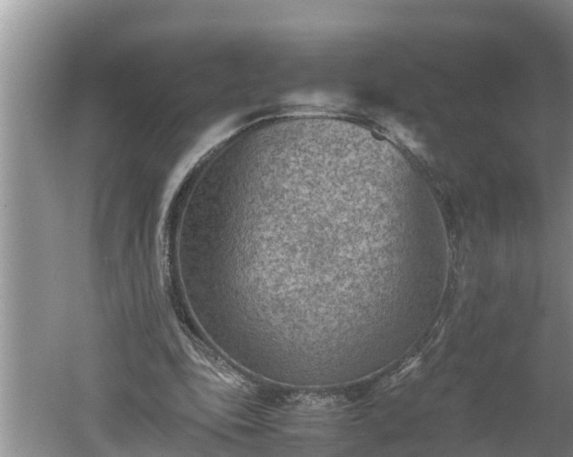 X0000060550343200511101543