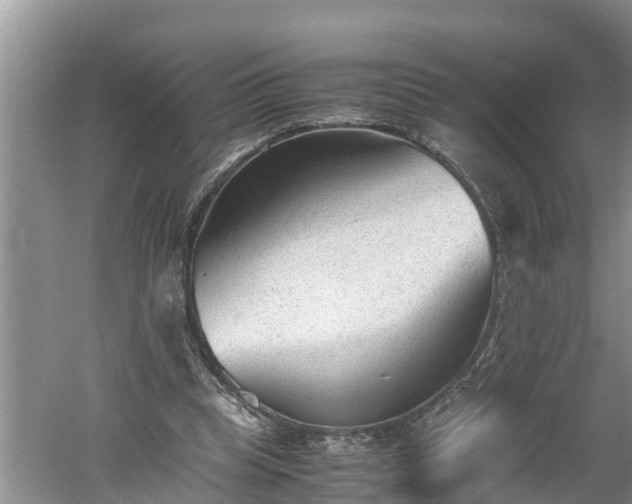 X0000060550345200511101543