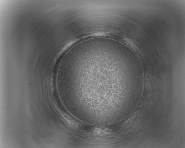 X0000060550346200511101543