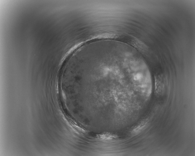 X0000060550348200511101543