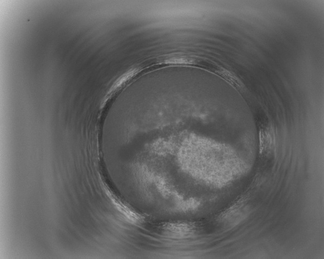 X0000060550349200511101543